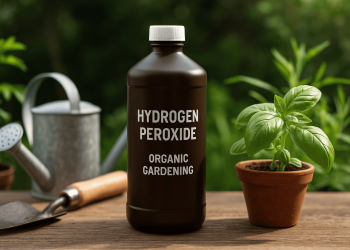 Hydrogen peroxide spray bottle for organic gardening pest and disease control