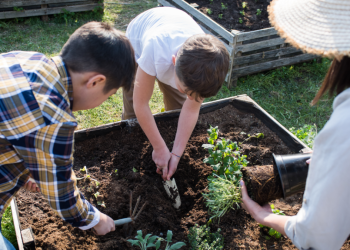 designing a rain garden