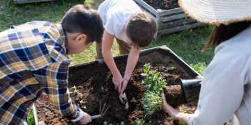 designing a rain garden