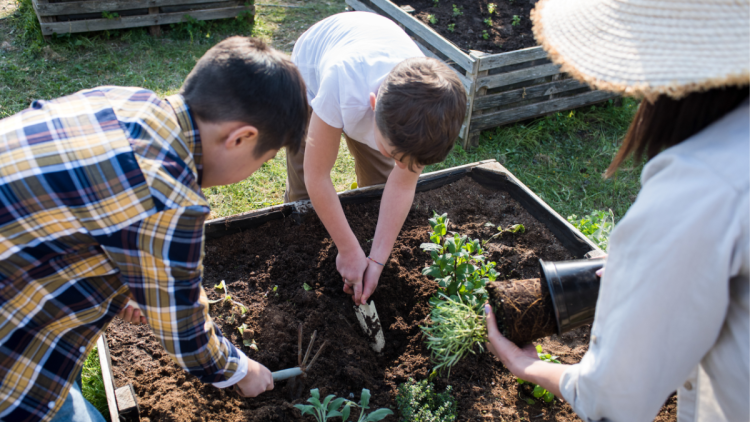 designing a rain garden