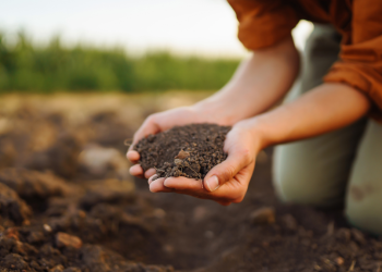 types of garden soil