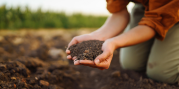 types of garden soil