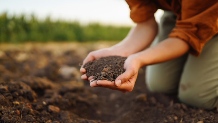 types of garden soil