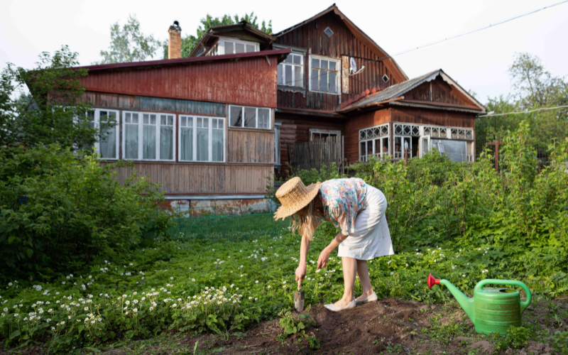 backyard rain garden design