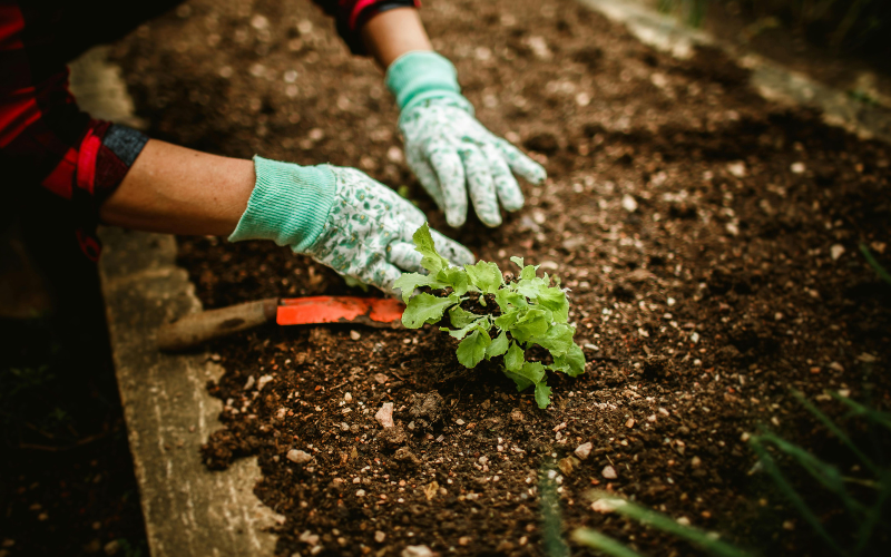 tyoes of garden soil